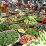 Also in Udaipur, this market shows the astonishing diversity of vegetables available in India. The quality and variety often exceed what we find in most American grocery stores.