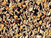 Ingredients: cumin seed, nigella seed, fennel seed, black mustard seed, fenugreek seed